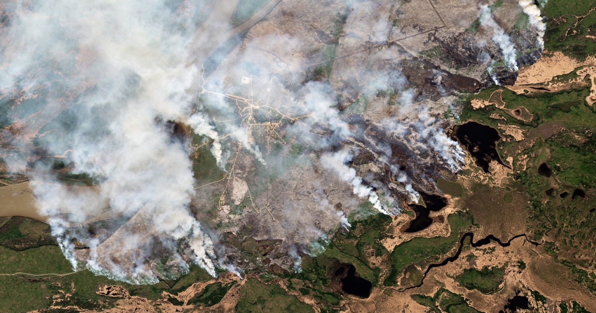 Canada's wildfires emitted more carbon than most countries last year