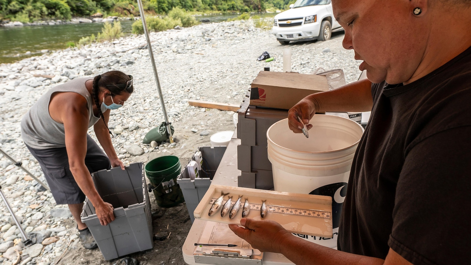 Workers breach the Klamath dams, allowing salmon to swim freely for the first time in a century